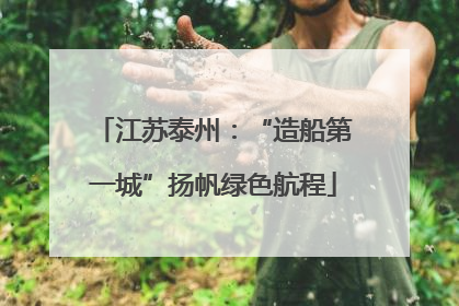 江苏泰州：“造船第一城”扬帆绿色航程