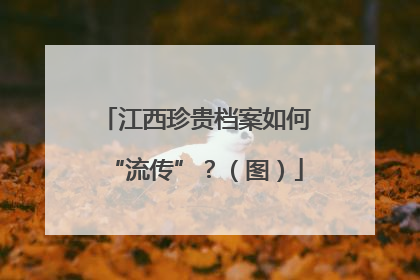 江西珍贵档案如何“流传”？（图）
