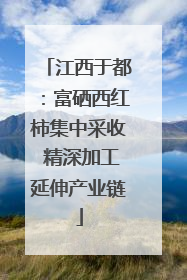 江西于都：富硒西红柿集中采收 精深加工延伸产业链