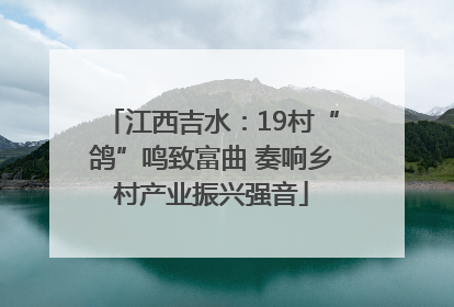 江西吉水：19村“鸽”鸣致富曲 奏响乡村产业振兴强音
