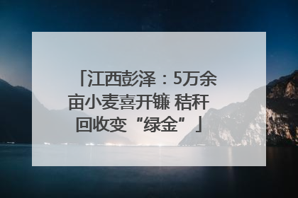 江西彭泽：5万余亩小麦喜开镰 秸秆回收变“绿金”