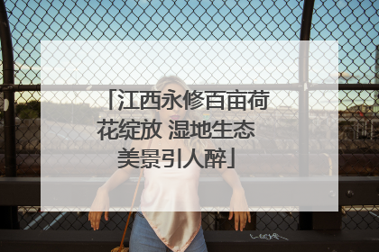 江西永修百亩荷花绽放 湿地生态美景引人醉