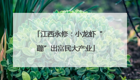 江西永修：小龙虾“蹦”出富民大产业