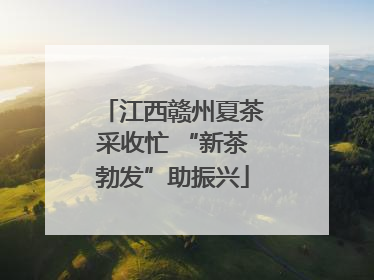 江西赣州夏茶采收忙 “新茶勃发”助振兴