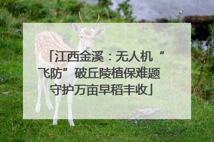江西金溪：无人机“飞防”破丘陵植保难题 守护万亩早稻丰收