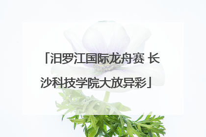汨罗江国际龙舟赛 长沙科技学院大放异彩