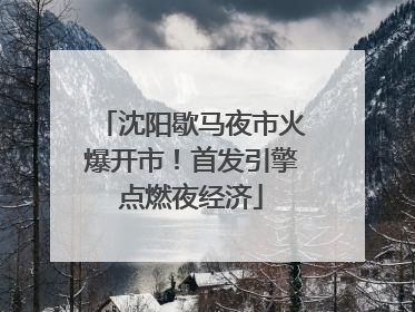 沈阳歇马夜市火爆开市！首发引擎点燃夜经济