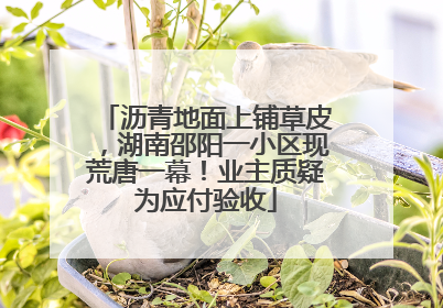 沥青地面上铺草皮，湖南邵阳一小区现荒唐一幕！业主质疑为应付验收