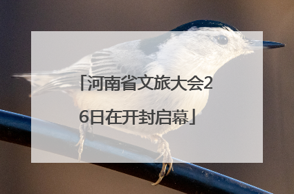 河南省文旅大会26日在开封启幕