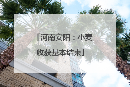 河南安阳：小麦收获基本结束
