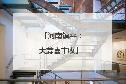 河南镇平：大蒜喜丰收