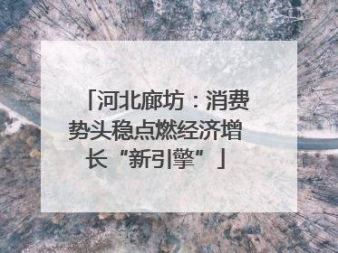 河北廊坊：消费势头稳点燃经济增长“新引擎”