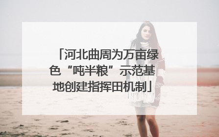 河北曲周为万亩绿色“吨半粮”示范基地创建指挥田机制
