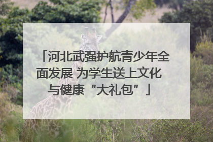 河北武强护航青少年全面发展 为学生送上文化与健康“大礼包”