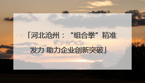 河北沧州：“组合拳”精准发力 助力企业创新突破