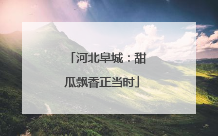 河北阜城：甜瓜飘香正当时