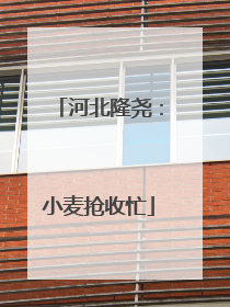 河北隆尧：小麦抢收忙