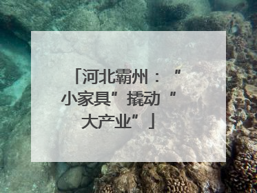 河北霸州：“小家具”撬动“大产业”