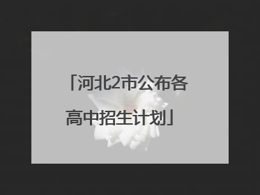 河北2市公布各高中招生计划