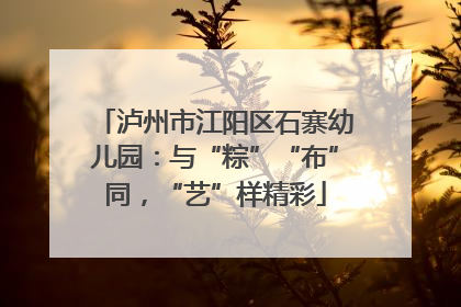 泸州市江阳区石寨幼儿园：与“粽”“布”同，“艺”样精彩