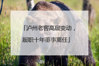 泸州老窖高层变动，履职十年董事离任
