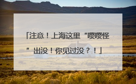 注意！上海这里“嘤嘤怪”出没！你见过没？！