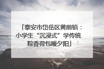 泰安市岱岳区黄前镇：小学生“沉浸式”学传统 粽香荷包暖夕阳