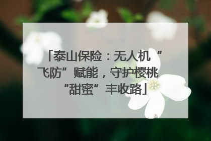 泰山保险：无人机“飞防”赋能，守护樱桃“甜蜜”丰收路