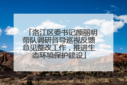 洛江区委书记颜丽明带队调研督导巡视反馈意见整改工作，推进生态环境保护建设