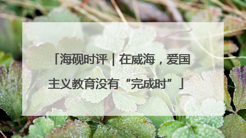 海砚时评｜在威海，爱国主义教育没有“完成时”