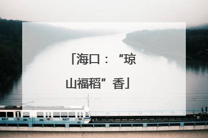海口：“琼山福稻”香