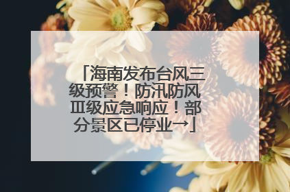 海南发布台风三级预警！防汛防风Ⅲ级应急响应！部分景区已停业→