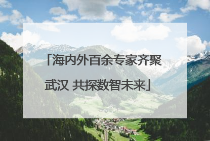 海内外百余专家齐聚武汉 共探数智未来