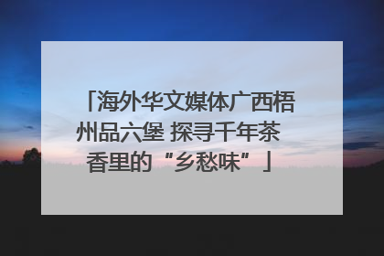 海外华文媒体广西梧州品六堡 探寻千年茶香里的“乡愁味”