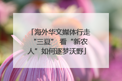 海外华文媒体行走“三夏” 看“新农人”如何逐梦沃野