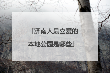 济南人最喜爱的本地公园是哪些