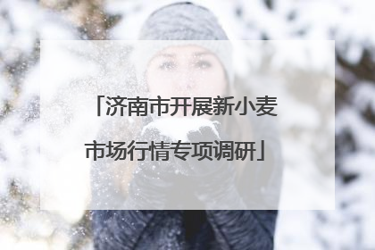 济南市开展新小麦市场行情专项调研