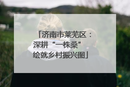 济南市莱芜区：深耕“一株桑” 绘就乡村振兴图