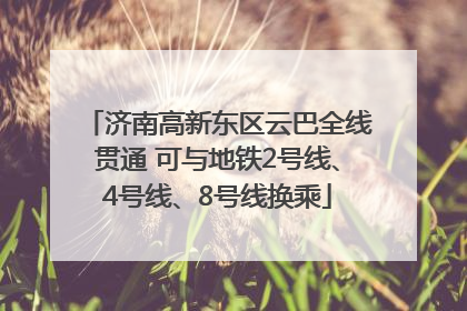 济南高新东区云巴全线贯通 可与地铁2号线、4号线、8号线换乘