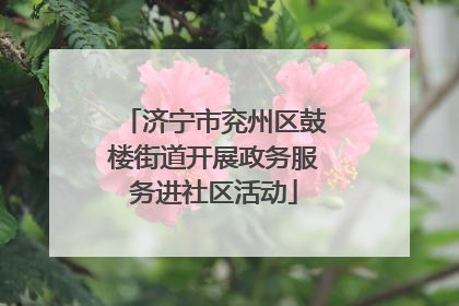 济宁市兖州区鼓楼街道开展政务服务进社区活动