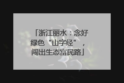 浙江丽水：念好绿色“山字经”，闯出生态富民路
