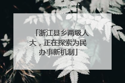 浙江县乡两级人大，正在探索为民办事新机制