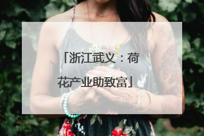 浙江武义：荷花产业助致富