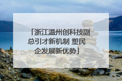浙江温州创科技副总引才新机制 塑民企发展新优势