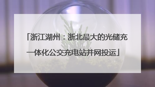 浙江湖州：浙北最大的光储充一体化公交充电站并网投运