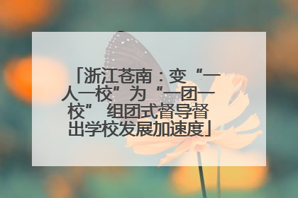 浙江苍南：变“一人一校”为“一团一校” 组团式督导督出学校发展加速度