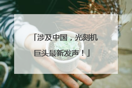 涉及中国，光刻机巨头最新发声！