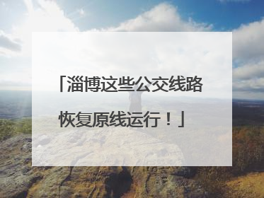淄博这些公交线路恢复原线运行！