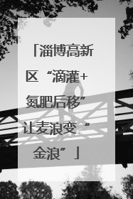淄博高新区“滴灌+氮肥后移”让麦浪变“金浪”