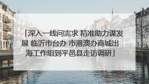深入一线问需求 精准助力谋发展 临沂市台办 市港澳办商城出海工作组到平邑县走访调研